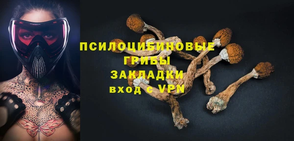 стафф Арсеньев