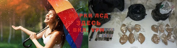 стафф Арсеньев