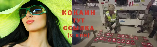 стафф Арсеньев