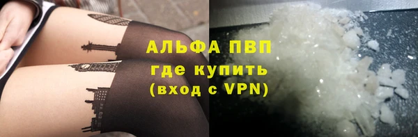 стафф Арсеньев