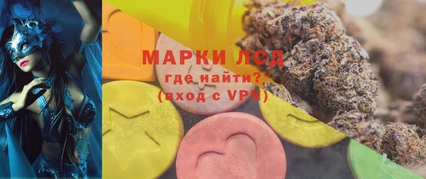 стафф Арсеньев