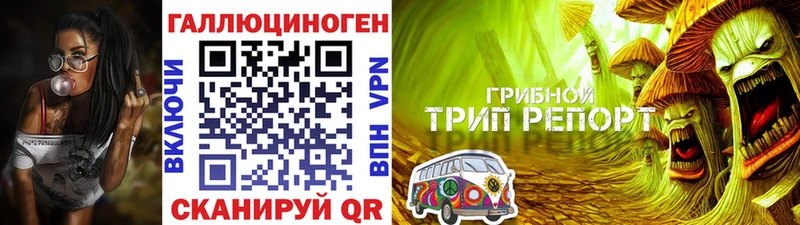 Псилоцибиновые грибы MAGIC MUSHROOMS  даркнет сайт  Ртищево 